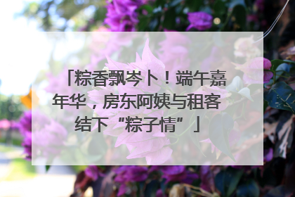 粽香飘岑卜！端午嘉年华，房东阿姨与租客结下“粽子情”