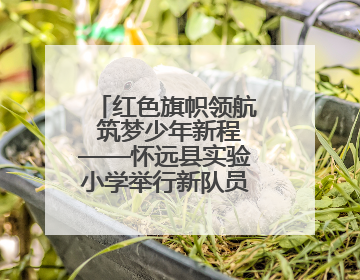 红色旗帜领航 筑梦少年新程——怀远县实验小学举行新队员入队仪式
