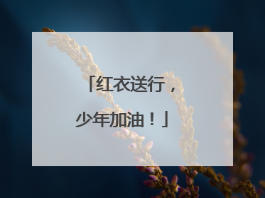 红衣送行，少年加油！
