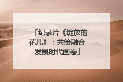 纪录片《绽放的花儿》：共绘融合发展时代画卷