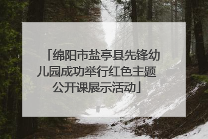 绵阳市盐亭县先锋幼儿园成功举行红色主题公开课展示活动