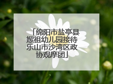 绵阳市盐亭县嫘祖幼儿园接待乐山市沙湾区政协观摩团