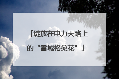 绽放在电力天路上的“雪域格桑花”