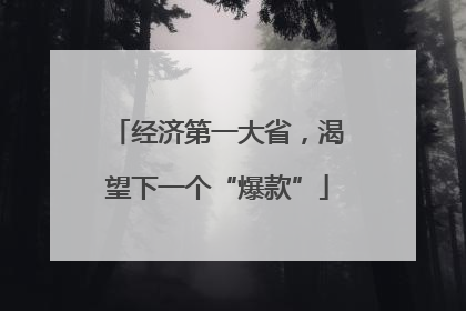 经济第一大省，渴望下一个“爆款”