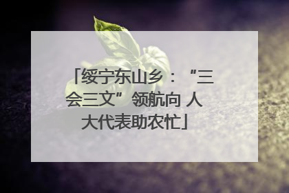 绥宁东山乡：“三会三文”领航向 人大代表助农忙