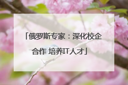俄罗斯专家：深化校企合作 培养IT人才