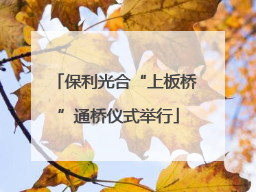 保利光合“上板桥”通桥仪式举行