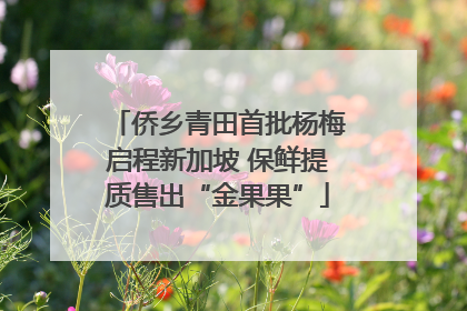 侨乡青田首批杨梅启程新加坡 保鲜提质售出“金果果”