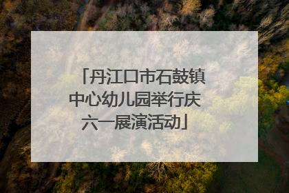 丹江口市石鼓镇中心幼儿园举行庆六一展演活动
