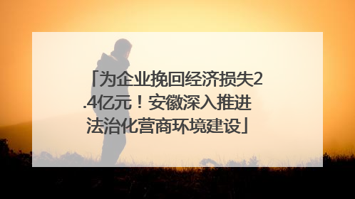 为企业挽回经济损失2.4亿元！安徽深入推进法治化营商环境建设