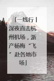 一线行丨深夜直击杭州机场，浙产杨梅“飞”赴各地市场