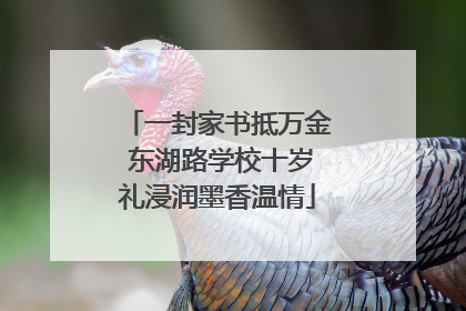 一封家书抵万金 东湖路学校十岁礼浸润墨香温情