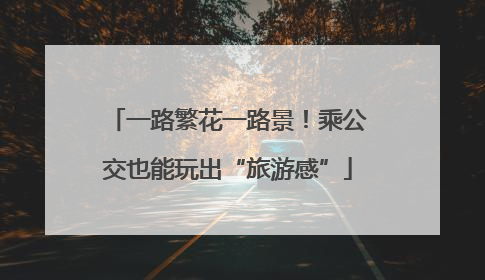 一路繁花一路景！乘公交也能玩出“旅游感”
