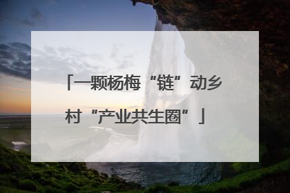 一颗杨梅“链”动乡村“产业共生圈”