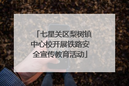 七星关区梨树镇中心校开展铁路安全宣传教育活动