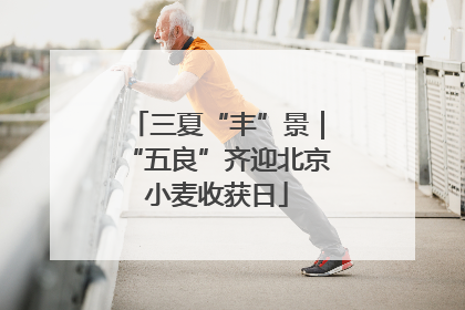 三夏“丰”景｜“五良”齐迎北京小麦收获日