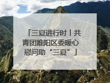 三夏进行时丨共青团睢阳区委暖心慰问助“三夏”