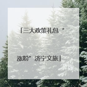 三大政策礼包“涨粉”济宁文旅