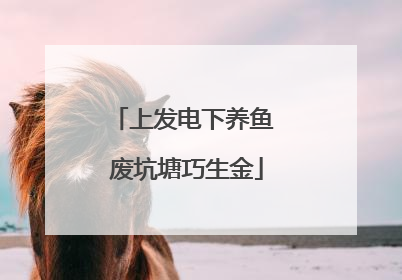 上发电下养鱼 废坑塘巧生金
