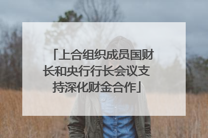 上合组织成员国财长和央行行长会议支持深化财金合作