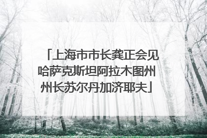 上海市市长龚正会见哈萨克斯坦阿拉木图州州长苏尔丹加济耶夫