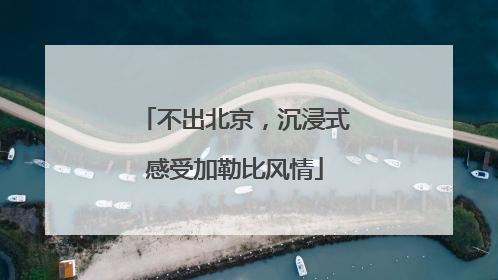 不出北京，沉浸式感受加勒比风情
