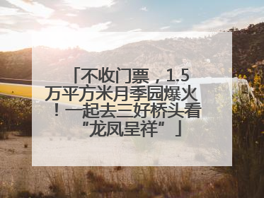 不收门票，1.5万平方米月季园爆火！一起去三好桥头看“龙凤呈祥”