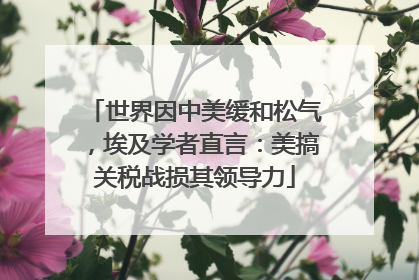 世界因中美缓和松气，埃及学者直言：美搞关税战损其领导力