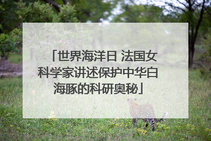 世界海洋日 法国女科学家讲述保护中华白海豚的科研奥秘
