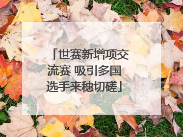 世赛新增项交流赛 吸引多国选手来穗切磋