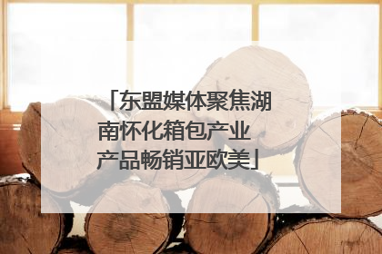 东盟媒体聚焦湖南怀化箱包产业 产品畅销亚欧美