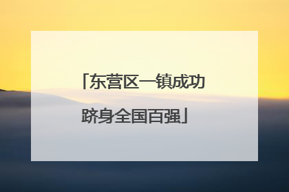 东营区一镇成功跻身全国百强