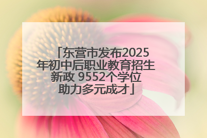东营市发布2025年初中后职业教育招生新政 9552个学位助力多元成才