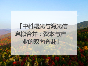 中科曙光与海光信息拟合并：资本与产业的双向奔赴