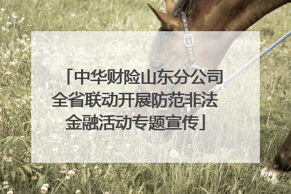 中华财险山东分公司全省联动开展防范非法金融活动专题宣传