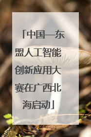 中国—东盟人工智能创新应用大赛在广西北海启动