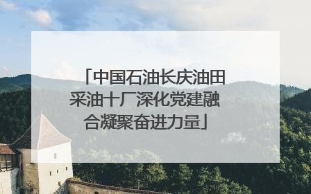 中国石油长庆油田采油十厂深化党建融合凝聚奋进力量