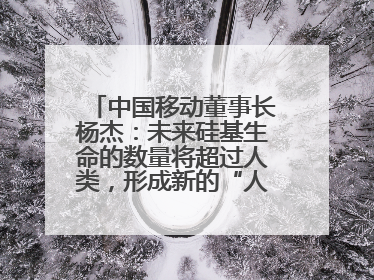 中国移动董事长杨杰：未来硅基生命的数量将超过人类，形成新的“人口红利”