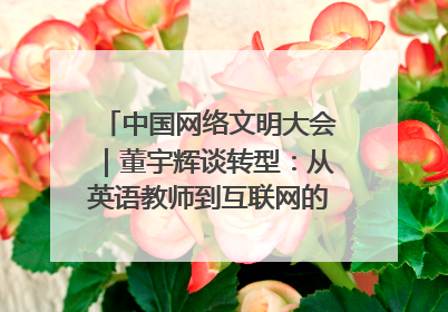 中国网络文明大会｜董宇辉谈转型：从英语教师到互联网的“秦腔”之路