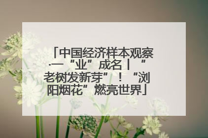 中国经济样本观察·一“业”成名丨“老树发新芽”！“浏阳烟花”燃亮世界