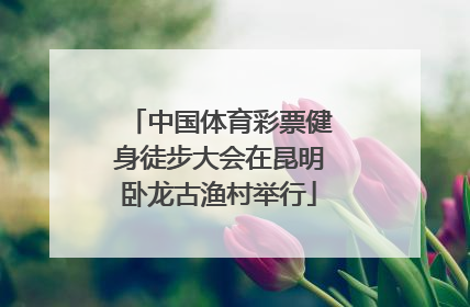 中国体育彩票健身徒步大会在昆明卧龙古渔村举行