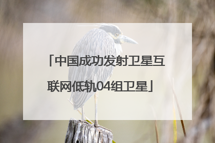 中国成功发射卫星互联网低轨04组卫星