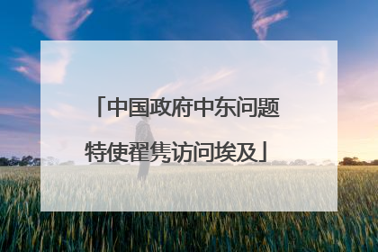 中国政府中东问题特使翟隽访问埃及