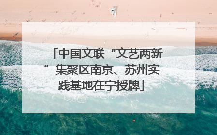 中国文联“文艺两新”集聚区南京、苏州实践基地在宁授牌