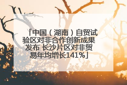 中国（湖南）自贸试验区对非合作创新成果发布 长沙片区对非贸易年均增长141%