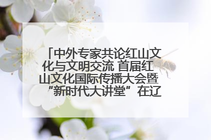 中外专家共论红山文化与文明交流 首届红山文化国际传播大会暨“新时代大讲堂”在辽宁朝阳举办