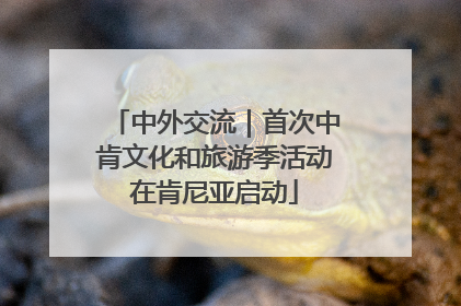 中外交流｜首次中肯文化和旅游季活动在肯尼亚启动