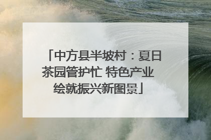 中方县半坡村：夏日茶园管护忙 特色产业绘就振兴新图景