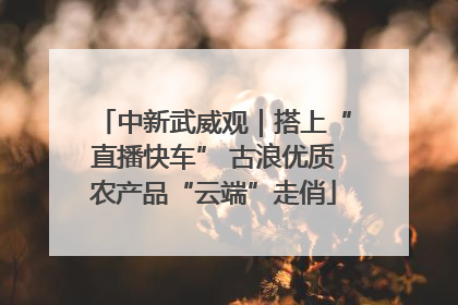 中新武威观｜搭上“直播快车” 古浪优质农产品“云端”走俏
