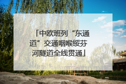 中欧班列“东通道”交通咽喉绥芬河隧道全线贯通
